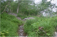 ���Ȃ�̎Γx�̂��鉺�肪���X�Ƒ����B