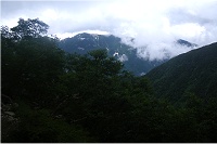 ���ʂɂ͖P���O�R�B