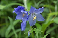 �~���}�n�i�V�m�u�������B