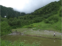 ��r����k�x�̓K�X�Ō����Ȃ��Ȃ��Ă����B