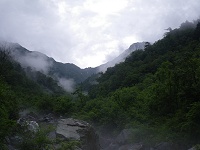 �J�����ǗŐ��͌����Ă���I