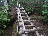 �n�V�S������B