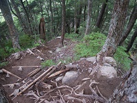 ���X�Ƒ������̋}�X�΂̓��͑��ɕ��S���傫���I�I