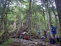 ���������o��l�͑����B