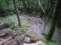 �����������H