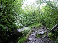 �Ȃ��Ȃ������Â炢���E�E�E