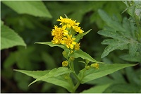 �A�L�m�L�����\�E