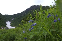 �~���}�n�i�V�m�u�Ɩk�x�B