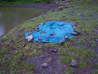 ���𔲂��Đ΂ŗ}�����䂪�ƁE�E�E