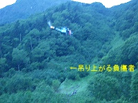 �s�b�N�A�b�v���̃w���B