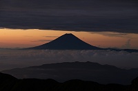 �V���G�b�g�̕x�m�R�B