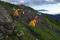 �x�m�R���̃e���g��B