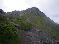 �ڂ̑O�̗t�R���ł͂Ȃ��E�E�E