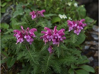 �~���}�V�I�K�}