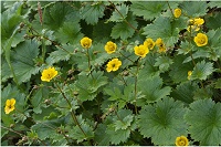 �~���}�_�C�R���\�E