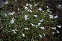 �~���}�~�~�i�O�T