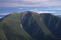 ��A���v�X�̋M�w�l�A���P�x�B