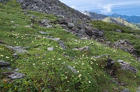 ������������t�߂̂��Ԕ��B