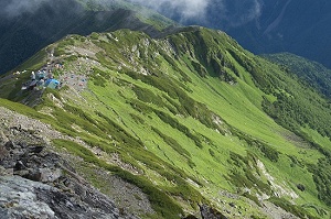 ���������o���Ă��Č��̏������y�����B