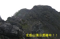 �{���̎R���͑�a�؁B