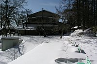 ������񑑕t�߂Ōy�H�B