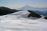 �x�m�R�̒��]���ǂ��B