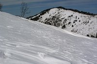 ���̔����̌������ɍō���̑��F�䂪����̂����E�E�E�B