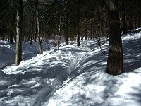 �ᓹ���Ђ�����o��