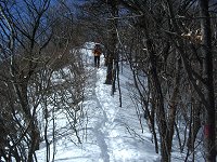 痩せ尾根をズンズンと進む