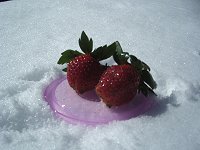 ���ƍ͔|�̃C�`�S��j������