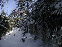 ���т̓��͔��ɋ����X�L�[�ɂ͓�V����B