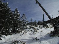 陽光に雪も溶け残雪期のような風景だ