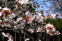 �R�����Y��I