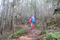 �ŏ��͕����Â��Ȏ��ёт�����܂��B