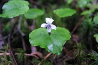 �E�X�o�X�~�����炢�Ă܂����B