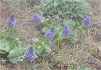 �E���b�v�\�E�����B