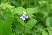 �G�]�m�^�`�c�{�X�~��